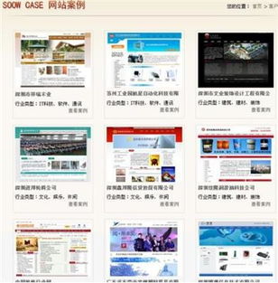 專業(yè)網(wǎng)站建設(shè) 設(shè)計(jì)、制作與選擇公司全指南